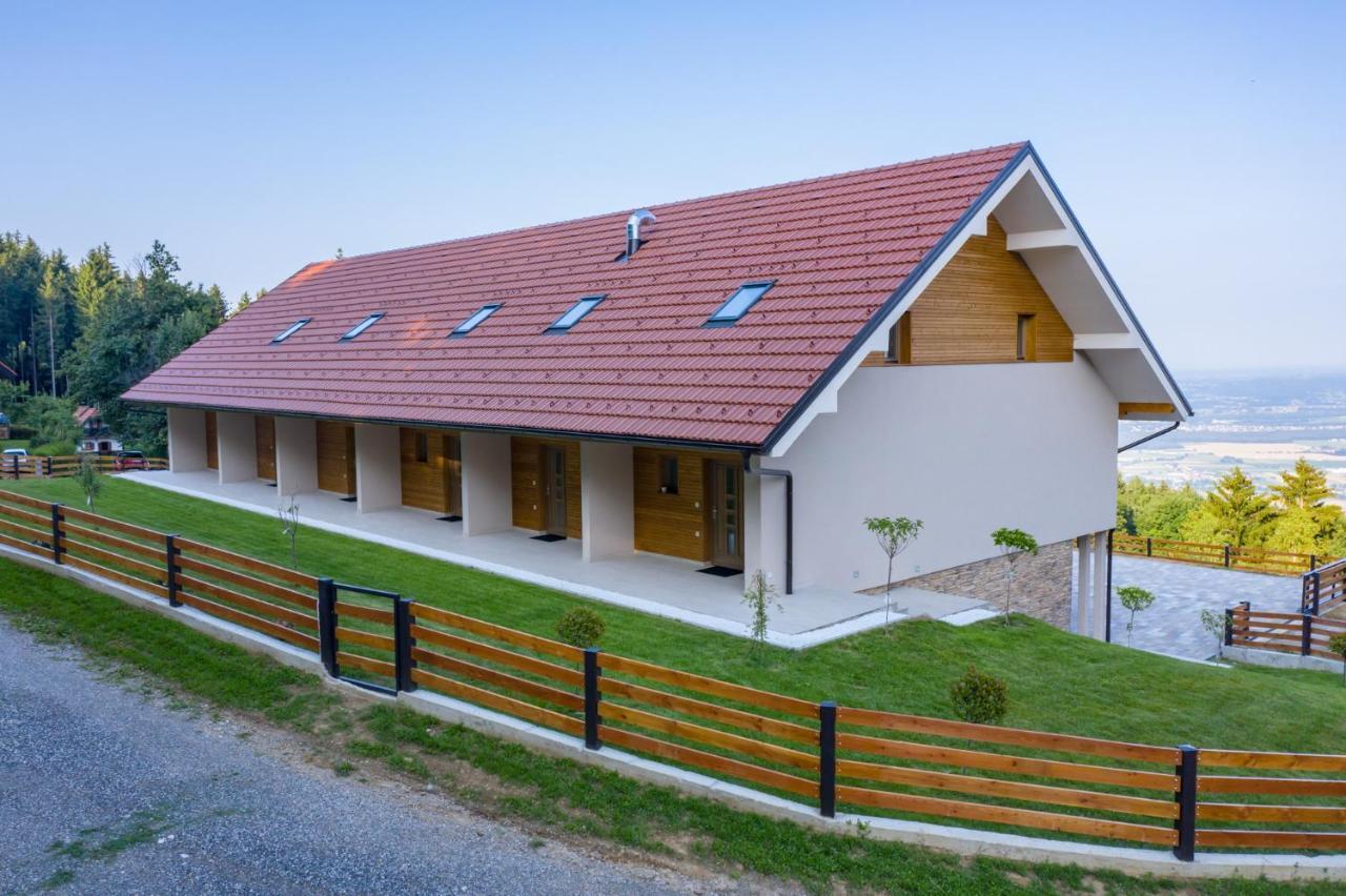Apartmaji Hocka Koca *